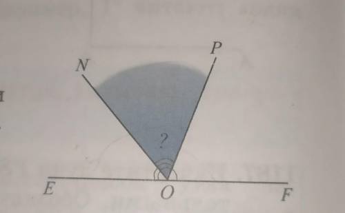 <EOP=110° и <NOF=130°.Найдите градусную меру угла NOP.