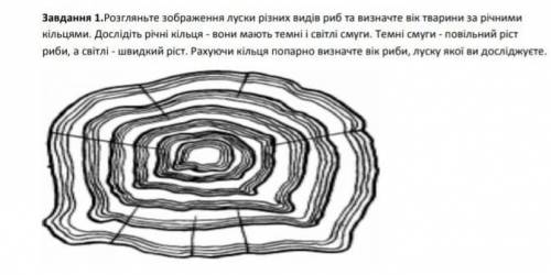 Будь ласка на завтра ето 