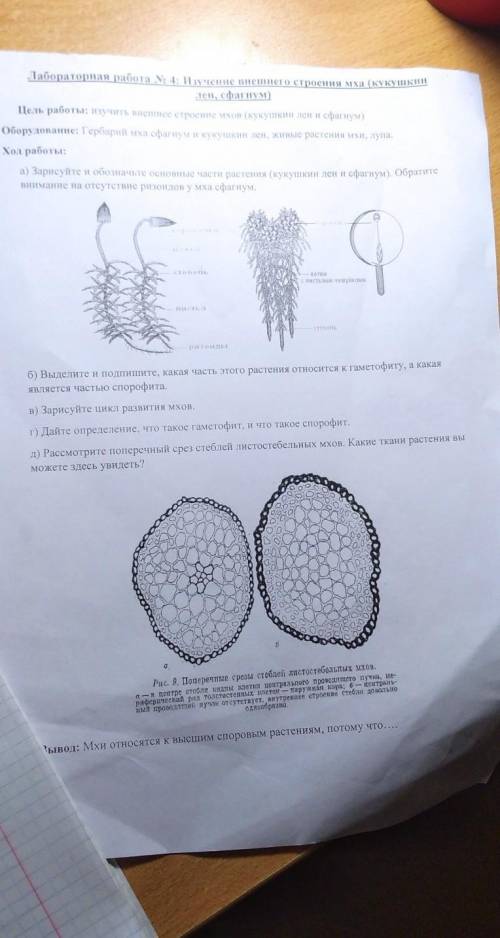 Под буквой б, что нужно сделать там? 