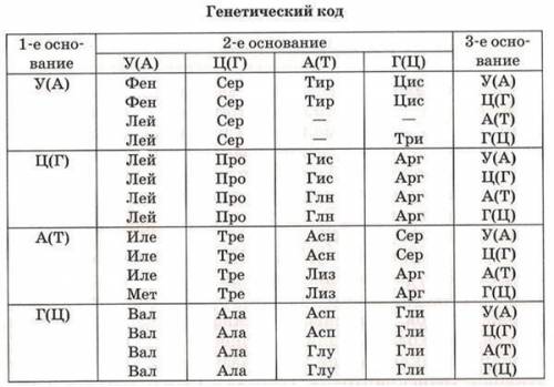 УМОЛЯЮ В результате мутации на участке гена, имеющего состав АТГ ЦЦА ААГ ГГА А, произошла вставка гу