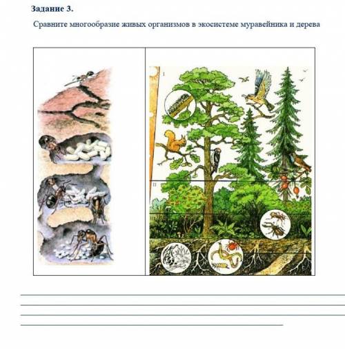 желательно не много написать.