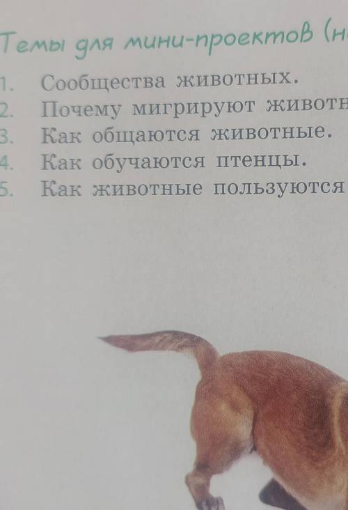 НЕ ПИШИТЕ ЕРУНДУ ЭТО ОЧЕНЬ ВАЖНО 