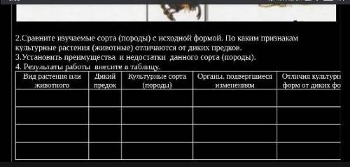 нужно сделать с видами курицы и капусты 