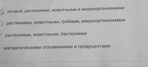 6 класс вопрос: биологический круговорот представляет собой циркуляцию веществ между?