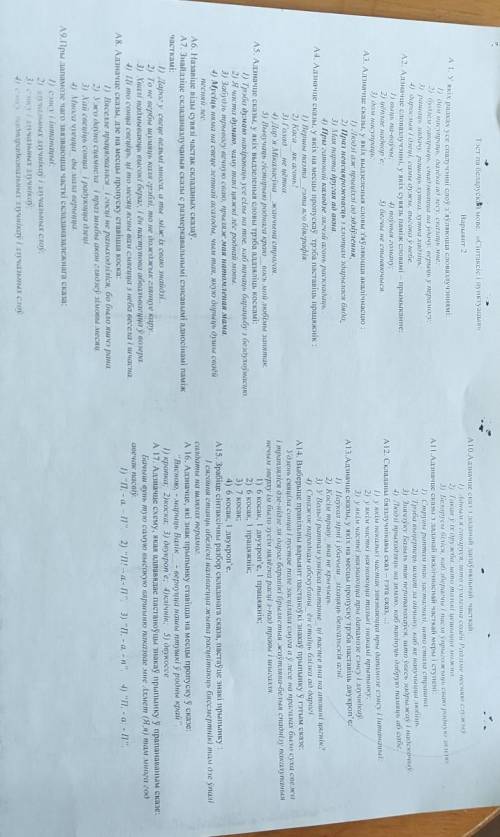 Тэст по беларуской мове синтаксис и панкуация решите 22 минуты осталось