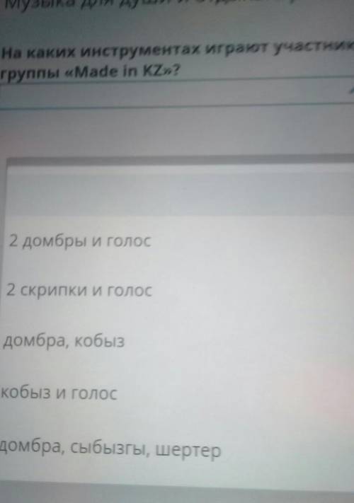 На каких инструментах играют участникигруппы «Made in KZ»?>