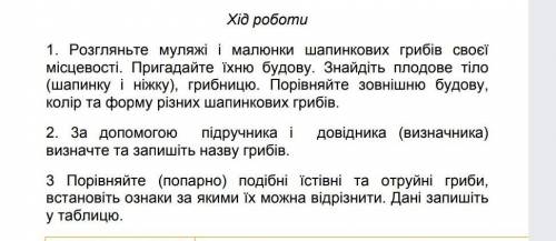только что бы было правильно 