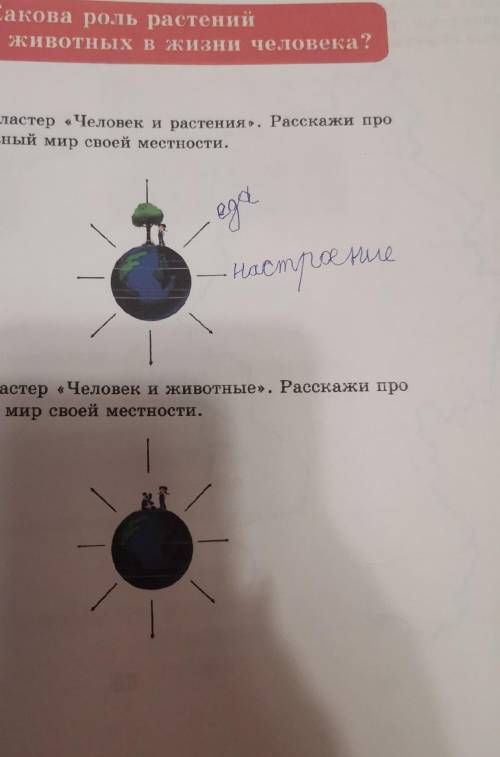 Составить кластер на тему человек и растения и человек и животные