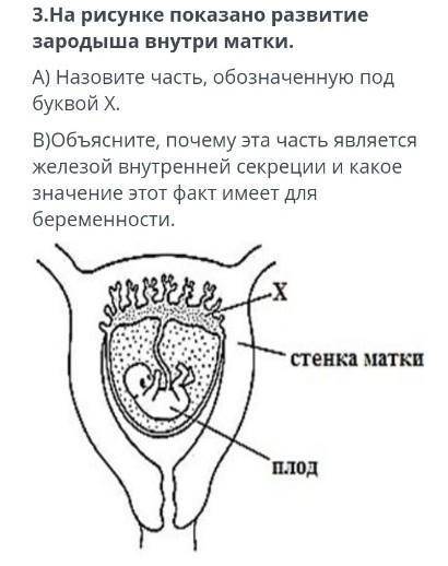 нужны выполнить задание . 