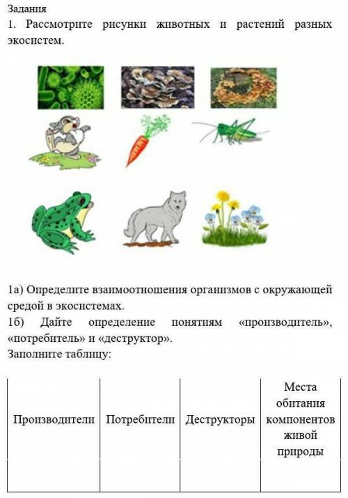 Задания 1. Рассмотрите рисунки животных и растений разных экосистем. 1а) Определите взаимоотношения