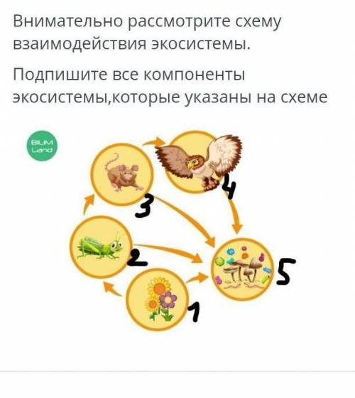 Внимательно рассмотрите схему взаимодействия экосистемы.Подпишите все компонентыэкосистемы, которые