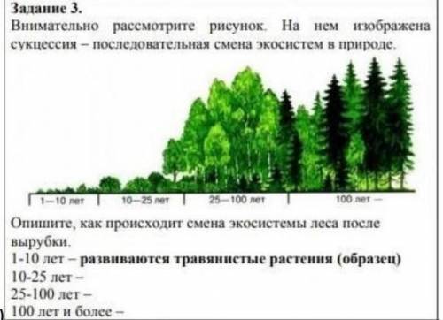 Задание по СОРу , сегодня нужно здать