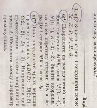 с решением данной проблемы 
