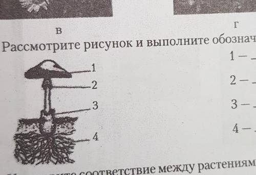 2. Рассмотрите рисунок и выполните обозначения. 1 --122 -с егово Бозотво33 - -44 -—