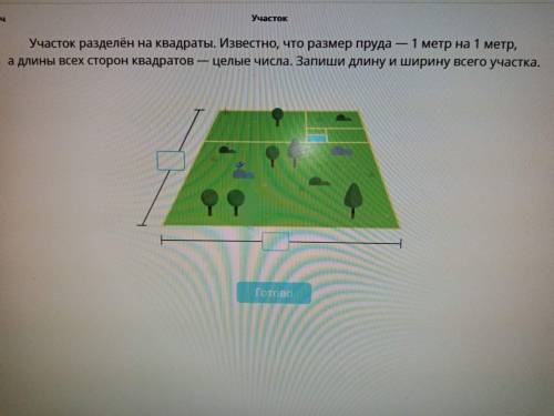 решить? Участок разделен на квадраты. Известно, что размер пруда 1 метр на 1 метр, а длины всеъх сто
