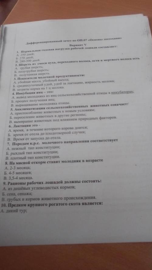 ответе Дорова ок согласен я пролайкую окоок