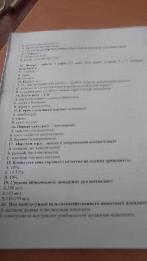 ответе Дорова ок согласен я пролайкую окоок