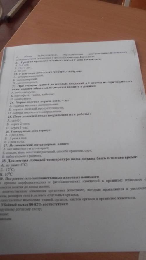 ответе Дорова ок согласен я пролайкую окоок