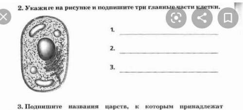 Задание 2 Укажите на рисунке и Подпишите три главные части клеткиможно быстро и правильнл это сор