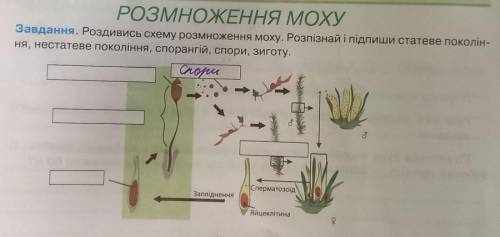 заметьтея перепутал история и биология