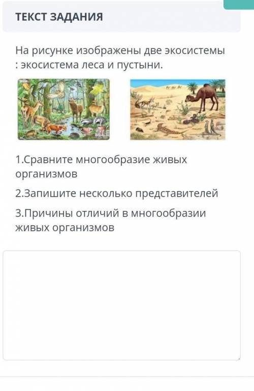 ,у меня сочне пишите неправильные ответы ради !
