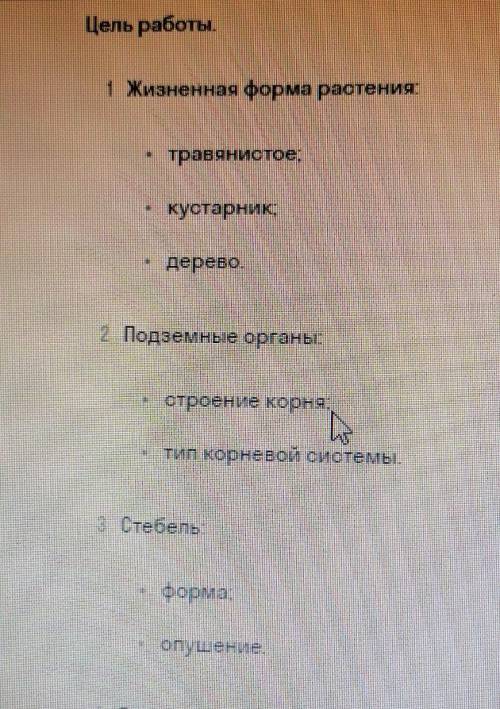 РЕБЯТ ! СТРОЕНИЯ КОРНЯ ОБЛЕПИХИ КРУШИНОВОЙ/КРУШИНОВИДНОЙ