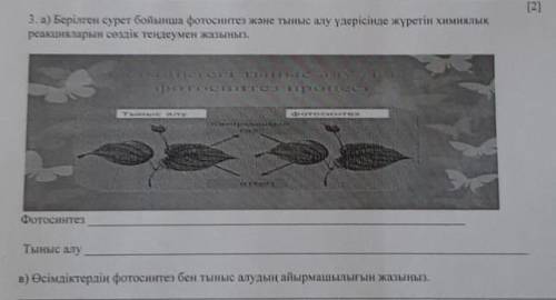 ХИМИЯ ПО КАЗАХСКИЙ. (А) и (В) 