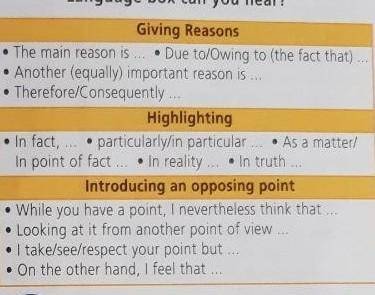 Which of the phrases in the Useful Language box can you hear? Listen to the dialogue again.