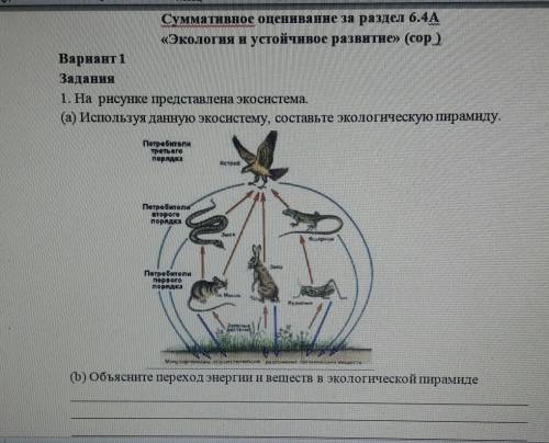 Ребят,это СОР,надеюсь на ваше понимание и быстрый ответ