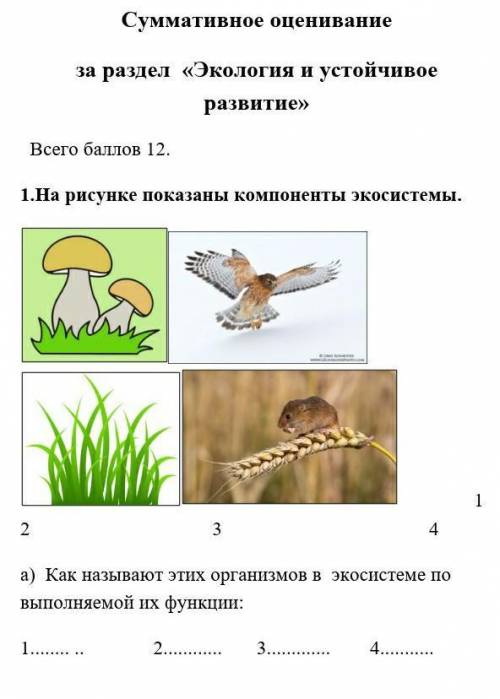 у меня сор и я не хочу умереть (это по естествознанию) 
