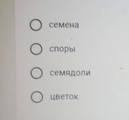 6 класс при надземном прорастание семян тыквы на поверхность почвы выносятся?