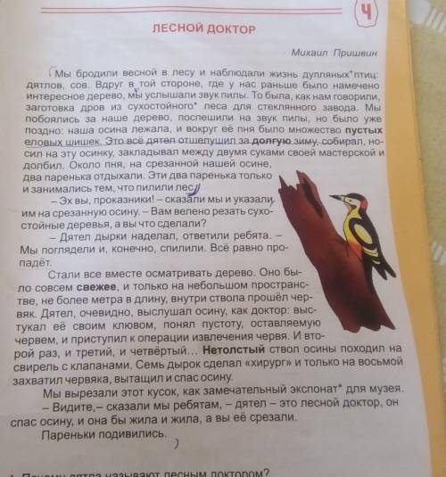 . списать текст Лесной доктор и подчеркнуть прилагательные, существительные и глаголы 