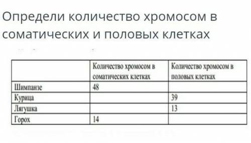 Определи количество хромосом всоматических и половых клетках