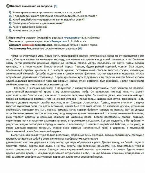 с сором по Русской литературе​