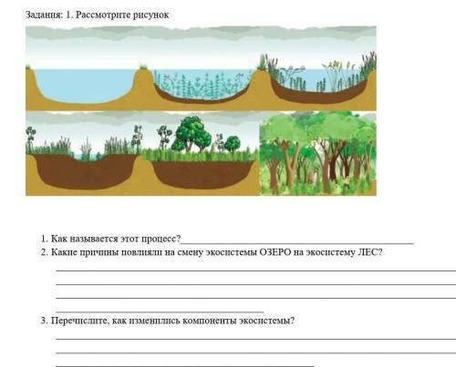 3. Перечислите, как изменились компоненты экосистемы