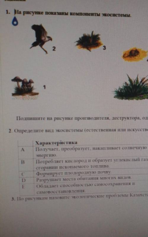 1на рисунке показаны уомпоненты эуосистемы2опридилите вид экосестемы 