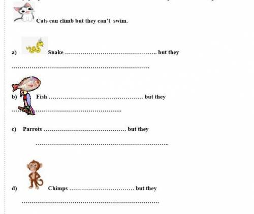 Complete the sentences using “CAN” and “CAN’T” and the verbs of the previous exercise. 