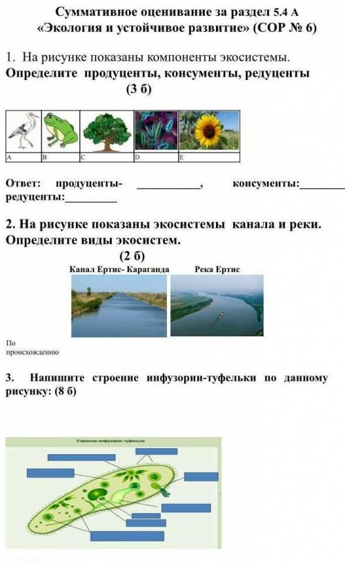 Сор это очень важно это не биология ошибся