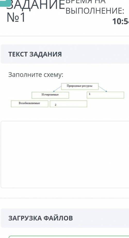 ТЕКСТ ЗАДАНИЯ Заполните схему:ЗАГРУЗКА ФАЙЛОВДобавить файлНазадВперед