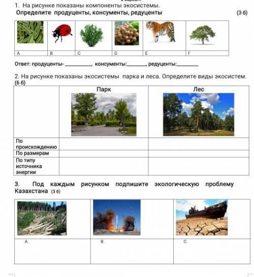 Кто-нибудь Сор сказали до конца урока сделать