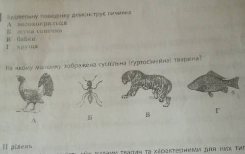 На якому малюнку зображена суспильнв гуртосимейна тварина