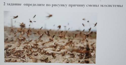 Задание 2 определите по рисунку причину смены экосистемы ,дам 5 звёзд