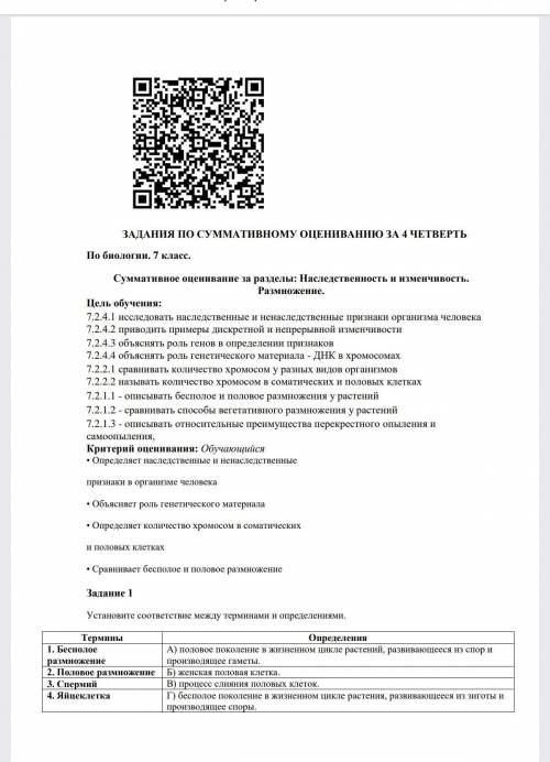 Установите соответствие между терминами и определениями