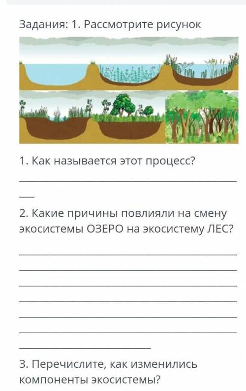 это сор и лучший ответ (за спам буду жалобы к дать)