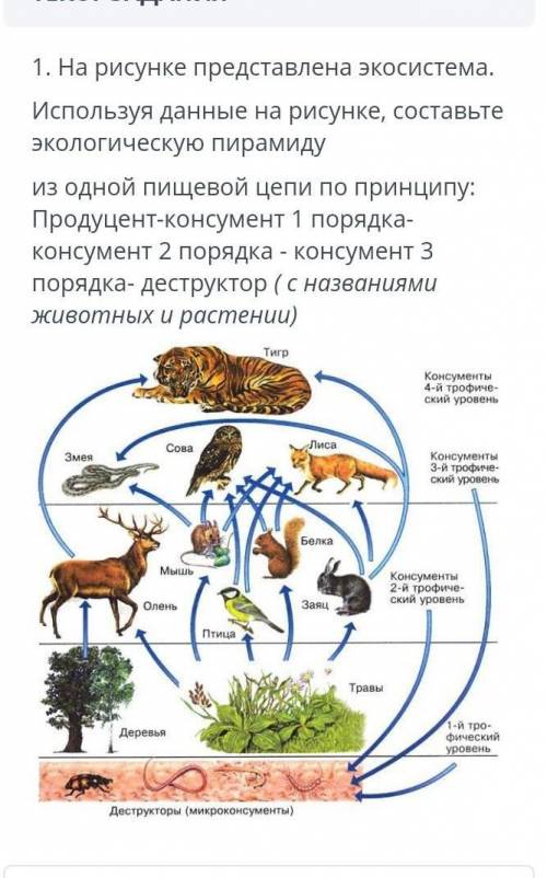 (постараюсь просто у меня глюки и может дать 5)