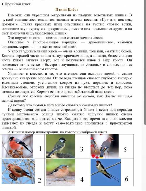 сделать литературусделаю лучшим ответом