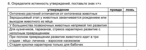 Определите истинность утверждений, поставьте знак «+»