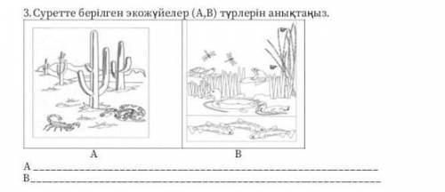 Суретте берілген эко жүйелер (А,В) түрлерін анықтаныз