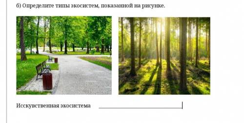 Определите типы экосистем, показанной на рисунке. У МЕНЯ СОР ОТВЕТИТЕ ПРАВИЛЬНО