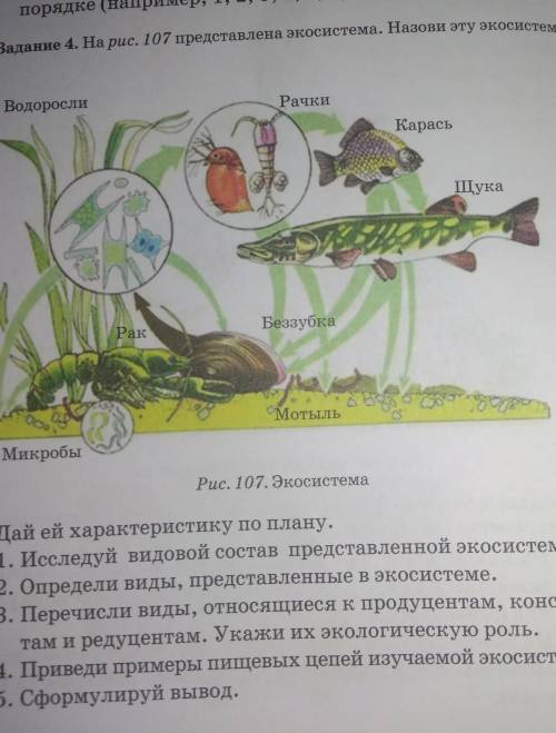на рисунке 107 представлена экосистема. Назови эту экосистему. Дай ей характеристику по плану. иссле